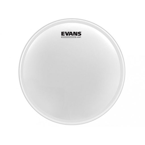 Evans B14UV1 pergőbőr coated