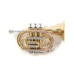 PURE GEWA Bb-zsebtrombita Roy Benson PT-302 